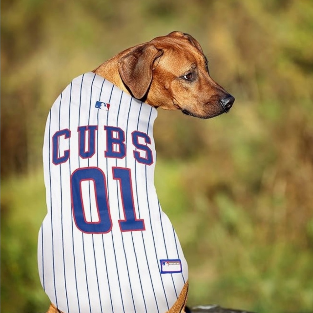 Cubs Pet Jersey Size XS